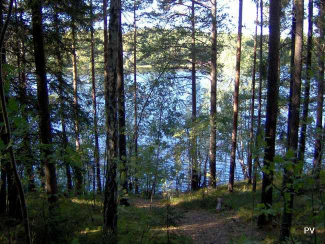 Stigen från Paradiset mot badet och hpl Ådran - branten mot Ådrans strand.  Om du vill se flera foton från området, klicka på bilden.