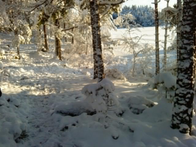 trehörningen