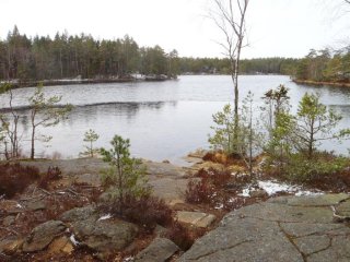 trehörningen