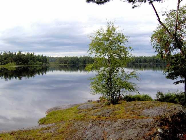 Vy vid Långsjöns södra del. Vill du se flera foton från området, klicka på bilden.