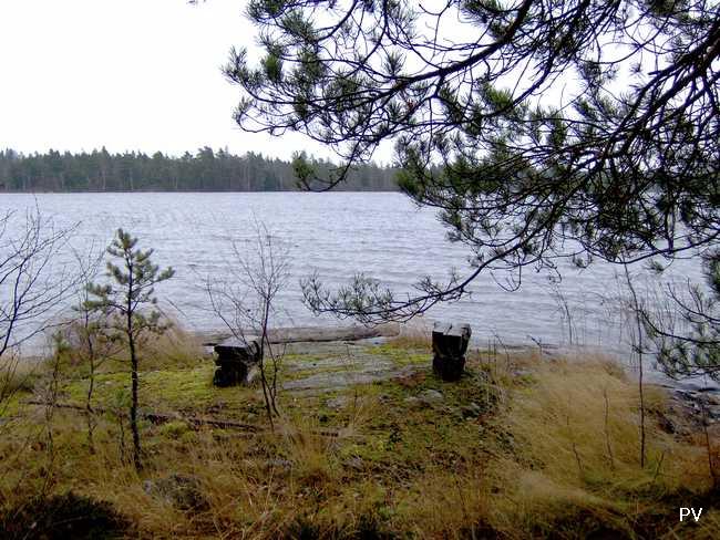 En vy från Örans västra strand på senhösten, i Paradisets naturrreservat. Vill du se flera foton från området, klicka på bilden.