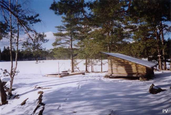 Vinterbild av skärmskyddet på udden vid Trehörningens östra del. Om du vill se flera foton från området, klicka på bilden.