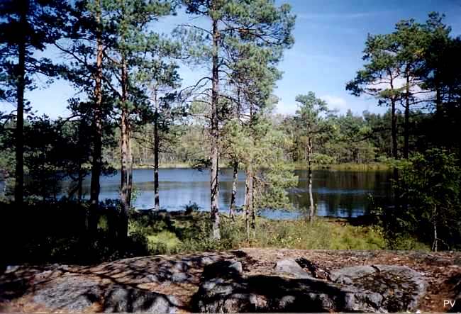 Tornbergssjöns södra strand. Om du vill de flera foton från området, klicka på bilden.