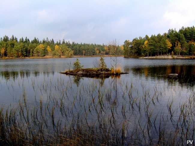 Vy från Trehörningens södra strand. Om du vill se flera foton från området, klicka på bilden.