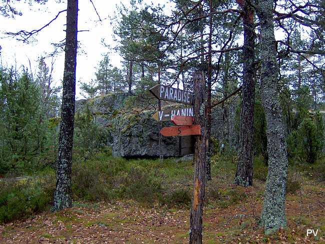 Tornbergets topp. Vill du se fler foton från området, klicka på bilden.