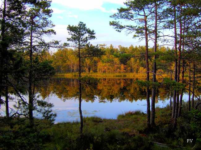 Kvällssol vid Tornbergssjön. Om du vill se flera foton från området, klicka på bilden.