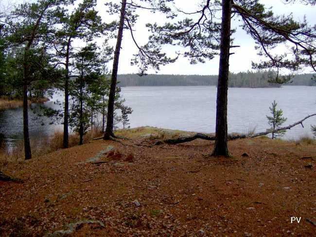 En udde som lämpar sig som lägerplats, nära Sörmlandsleden, vid sjön Örans sydvästra del. Om du vill se flera foton från området, klicka på bilden.