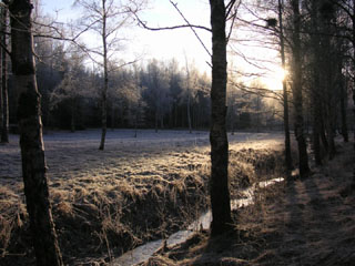 starten