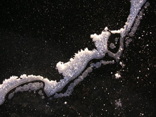 starten