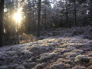 starten