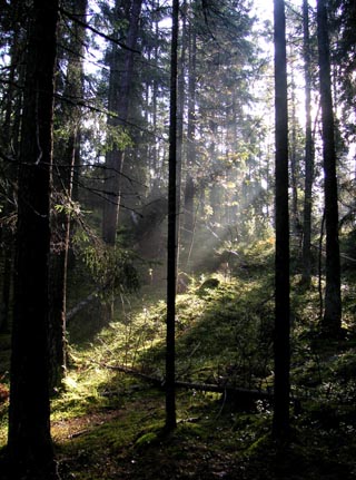 starten