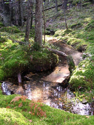 starten